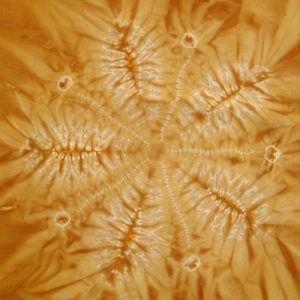 Shibori stitch instructions: Orange Blossom motif
